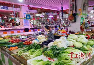 日調1800噸蔬菜,衡陽“菜籃子”拎得穩(wěn)